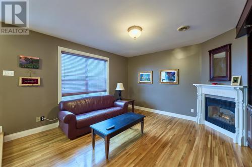 8 Roddickton Place, St. John'S, NL - Indoor Photo Showing Living Room With Fireplace