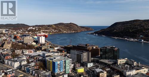 23 Goodview Street  St. John's, NL A1C 4G2