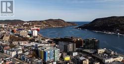 23 Goodview Street  St. John's, NL A1C 4G2