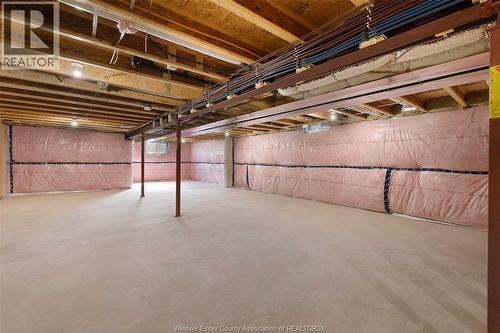 81 Mckenzie Street, Harrow, ON - Indoor Photo Showing Basement