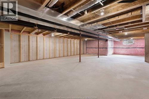 81 Mckenzie Street, Harrow, ON - Indoor Photo Showing Basement