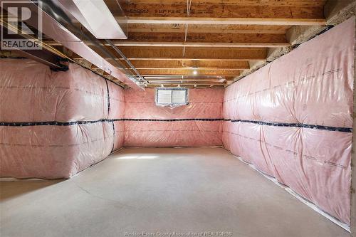 81 Mckenzie Street, Harrow, ON - Indoor Photo Showing Basement