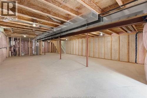 81 Mckenzie Street, Harrow, ON - Indoor Photo Showing Basement
