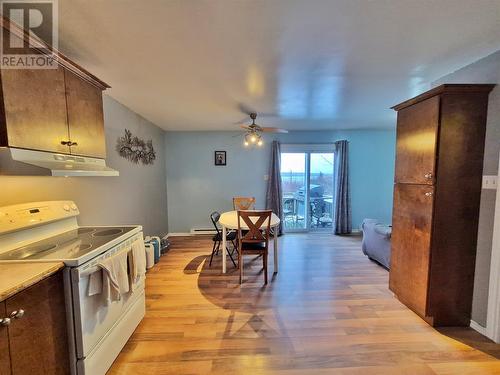 211A Main Street, Peterview, NL - Indoor Photo Showing Kitchen