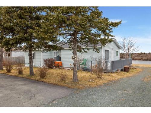 124 Seal Cove Road, Conception Bay South, NL 
