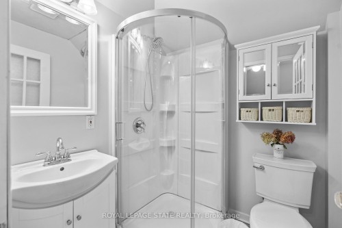247 Macnab Street S, Hamilton, ON - Indoor Photo Showing Bathroom