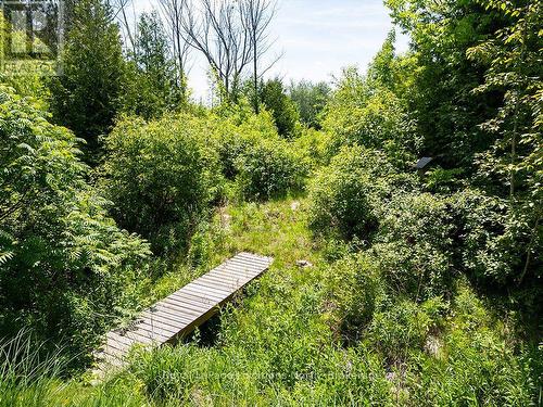 110 John Watt Way, Blue Mountains, ON - Outdoor