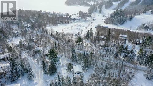 256 Woodland Drive, Huntsville (Chaffey), ON - Outdoor With View