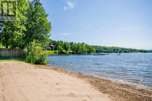 256 Woodland Drive, Huntsville (Chaffey), ON - Outdoor With Body Of Water With View