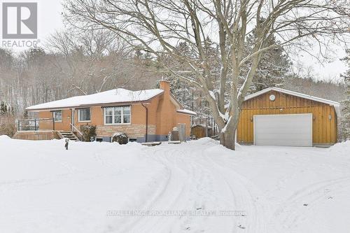 556 ROSEBUSH ROAD  Quinte West (Sidney Ward), ON K0K 2C0