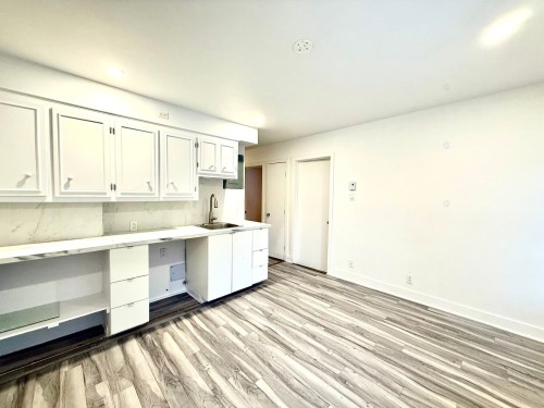 Cuisine - 2-5385 10E Avenue, Montréal (Rosemont/La Petite-Patrie), QC - Indoor Photo Showing Other Room