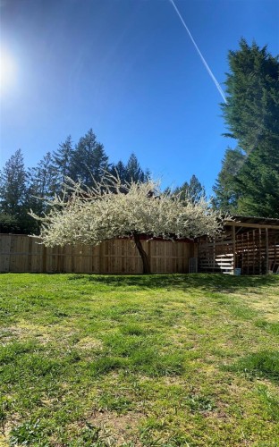 1520 King Rd, Qualicum Beach, BC 