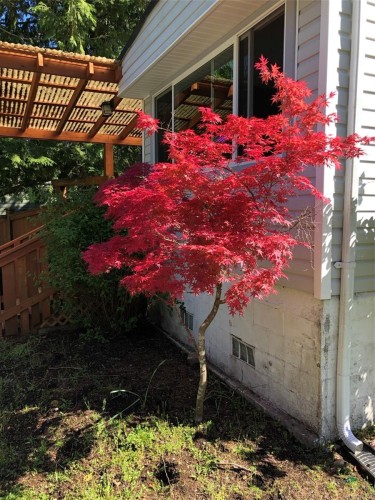 1520 King Rd, Qualicum Beach, BC 