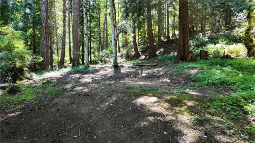 4480 Strachan Rd, Hornby Island, BC 