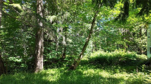 4480 Strachan Rd, Hornby Island, BC 