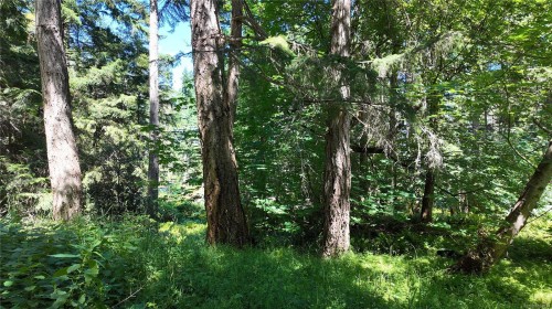 4480 Strachan Rd, Hornby Island, BC 