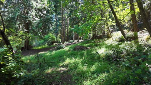 4480 Strachan Rd, Hornby Island, BC 