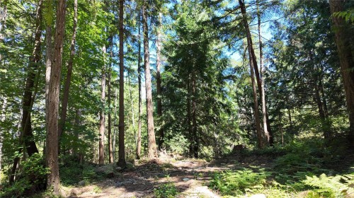 4480 Strachan Rd, Hornby Island, BC 