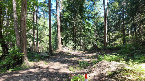 4480 Strachan Rd, Hornby Island, BC 