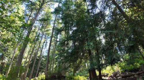 4480 Strachan Rd, Hornby Island, BC 