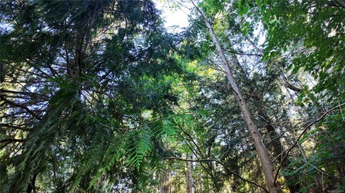 4480 Strachan Rd, Hornby Island, BC 