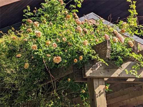 248 Suneagle Dr, Salt Spring, BC 