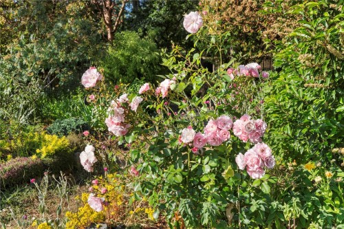 248 Suneagle Dr, Salt Spring, BC 