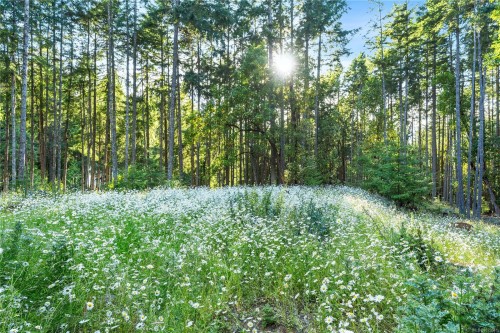 248 Suneagle Dr, Salt Spring, BC 