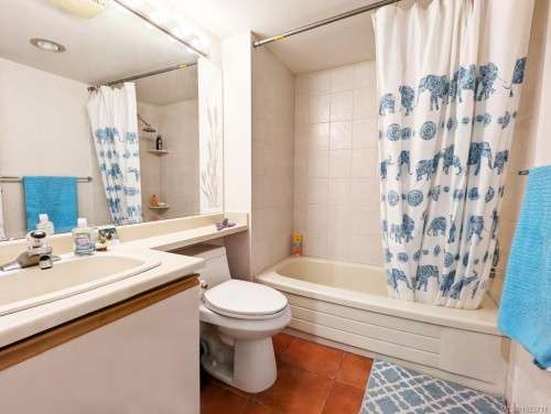 309-1560 Hillside Ave, Victoria, BC - Indoor Photo Showing Bathroom