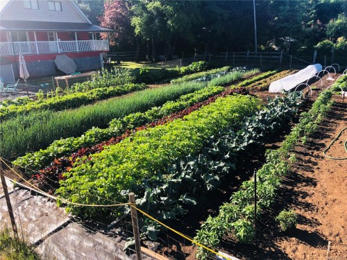 6499 Fitzgerald Rd, Merville, BC 