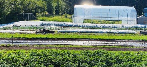 6499 Fitzgerald Rd, Merville, BC 