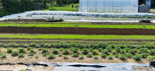 6499 Fitzgerald Rd, Merville, BC 