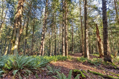 2763 Parker Rd, Nanoose Bay, BC 