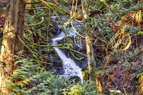 2763 Parker Rd, Nanoose Bay, BC 