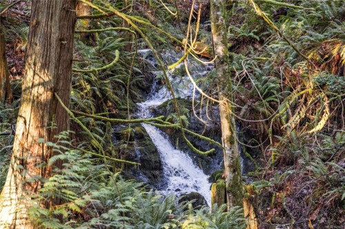 2763 Parker Rd, Nanoose Bay, BC 