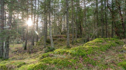 3200 Poppleton Rd, Nanaimo, BC 