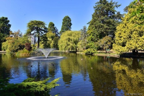 2-1434 Brooke St, Victoria, BC 