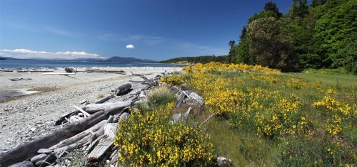 141 Mapleleaf Lane, Sidney Island, BC 