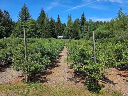 2156 Coleman Rd, Courtenay, BC 