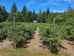 2156 Coleman Rd  Courtenay, BC V9J 1P2