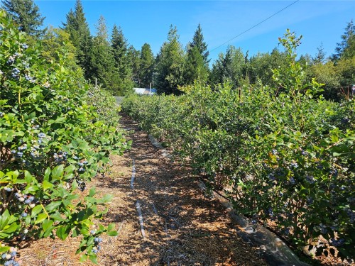 2156 Coleman Rd, Courtenay, BC 