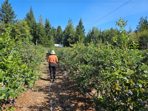 2156 Coleman Rd, Courtenay, BC 