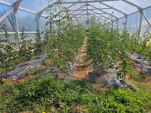 2156 Coleman Rd, Courtenay, BC 