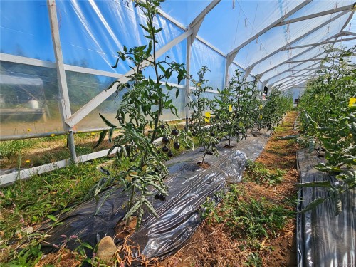 2156 Coleman Rd, Courtenay, BC 