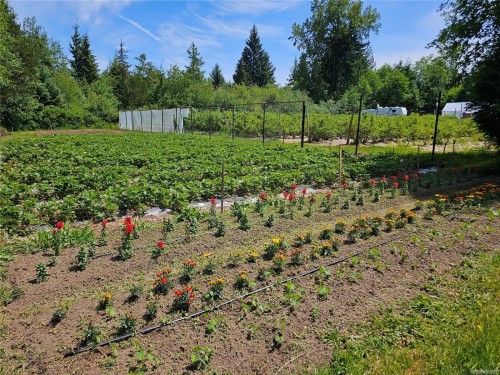 2156 Coleman Rd, Courtenay, BC 