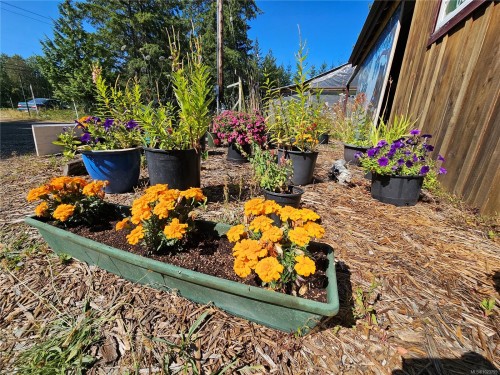 2156 Coleman Rd, Courtenay, BC 