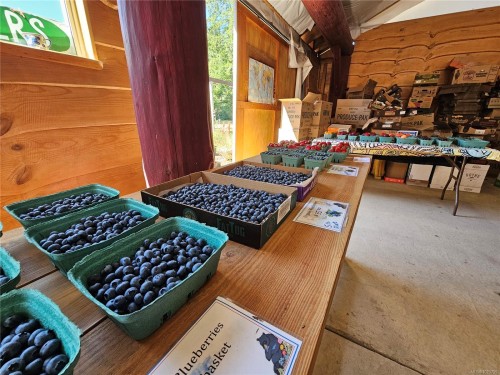 2156 Coleman Rd, Courtenay, BC 