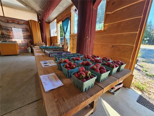 2156 Coleman Rd, Courtenay, BC 