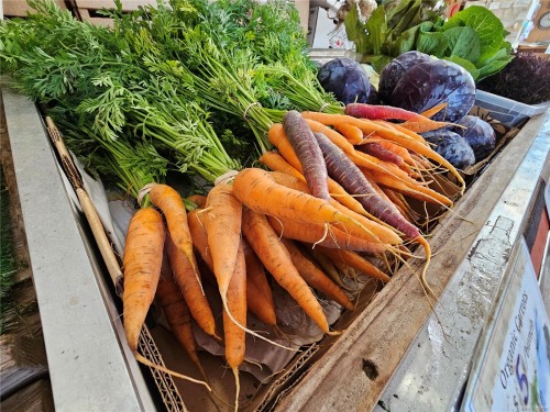 2156 Coleman Rd, Courtenay, BC 