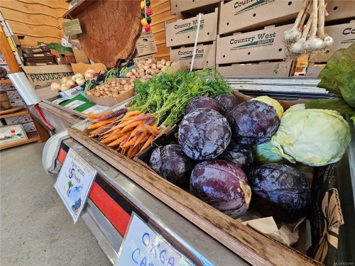 2156 Coleman Rd, Courtenay, BC 